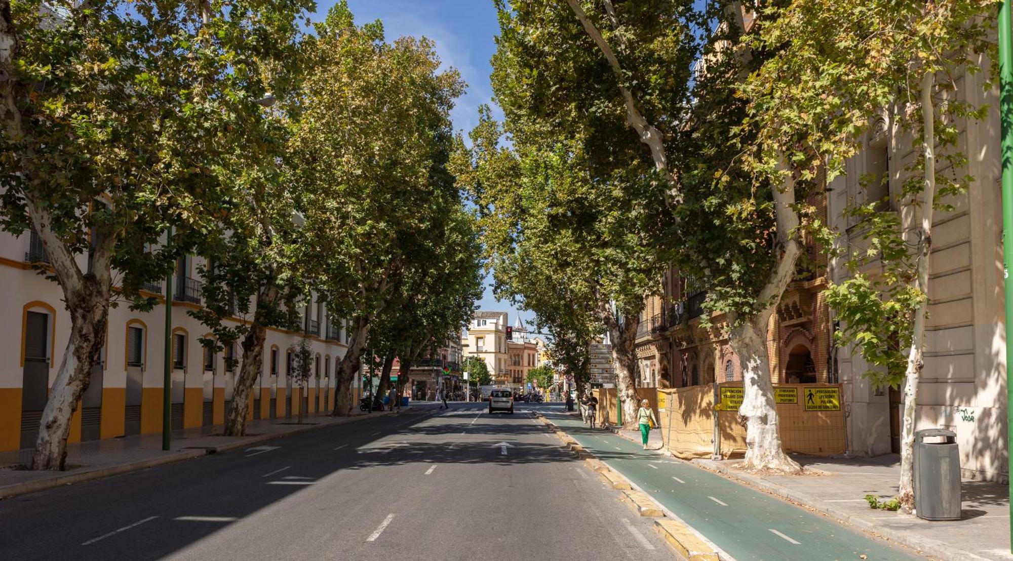 Charming 2 Bedroom Apartment At Sevilla City Center By Ocityzen Exteriér fotografie